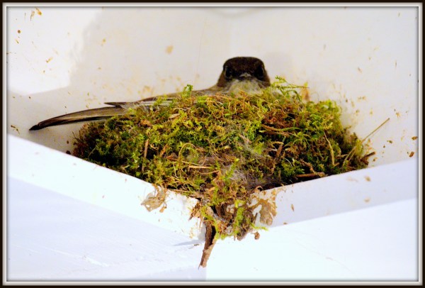 ?????????????????????????????