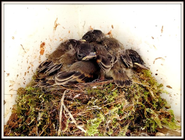 ???????????????????????????