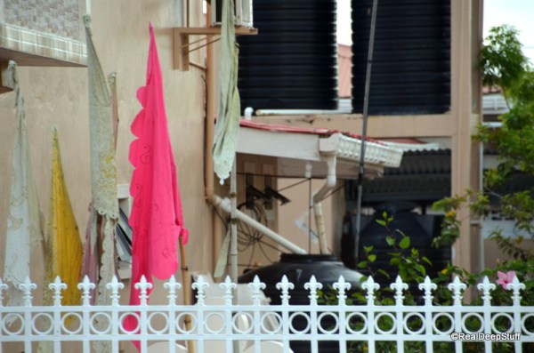 Kristi Buttles Photography 7-12-2015 9-20-58 PM